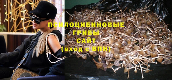 ГАЛЛЮЦИНОГЕННЫЕ ГРИБЫ Осташков