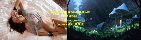 герыч Абаза