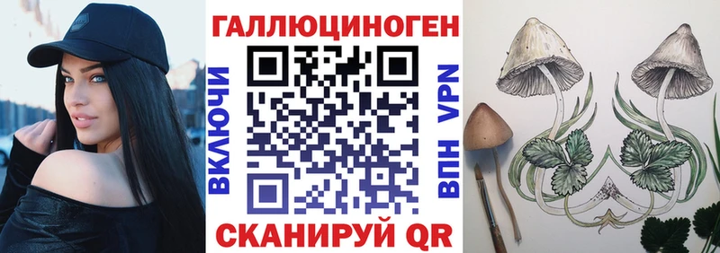 маркетплейс клад  Советск  Галлюциногенные грибы Psilocybine cubensis  что такое наркотик  ссылка на мегу маркетплейс 